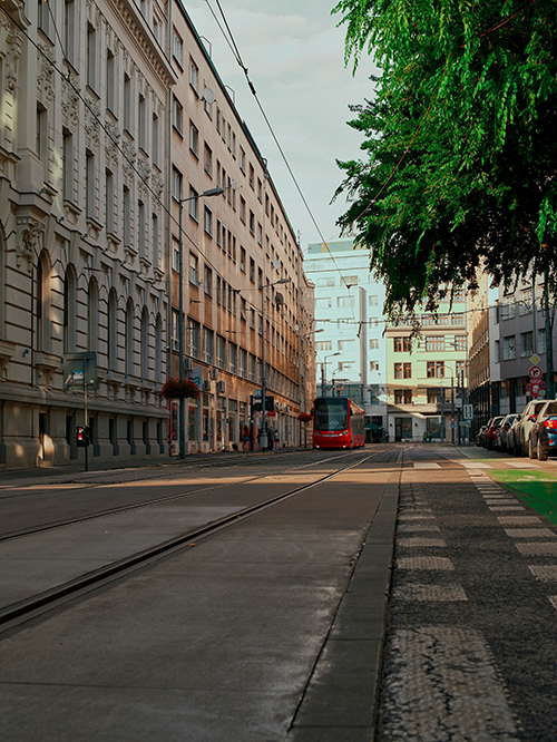 rue